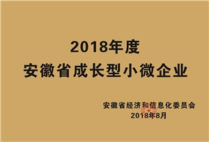 2018年度安徽省成長型小微企業